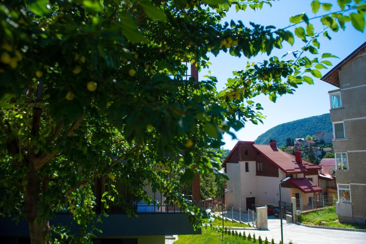 Snug Apartments - Private Parking Near Downtown Brașov Exterior foto